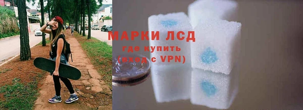 гидра Горнозаводск