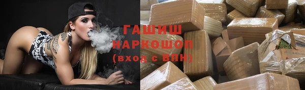 гидра Горнозаводск