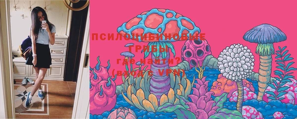 герыч Горняк