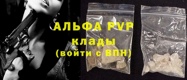 гидра Горнозаводск