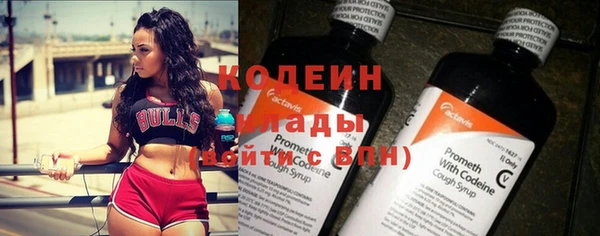 гидра Горнозаводск