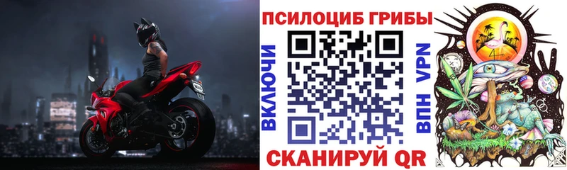 Галлюциногенные грибы Cubensis  Купить  Кисловодск 